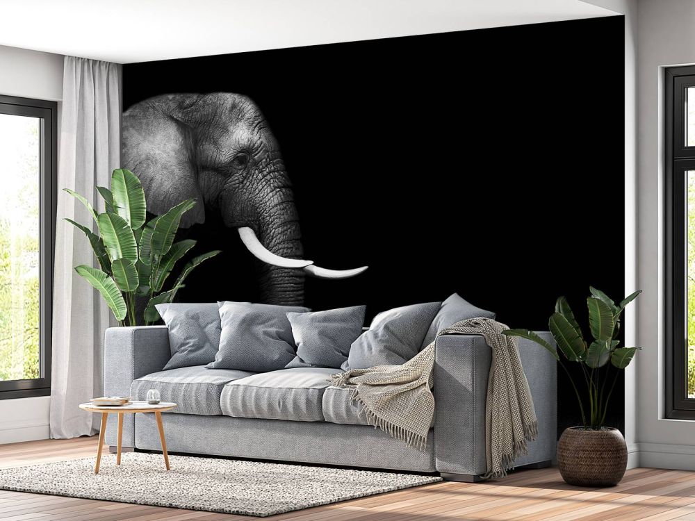 Olifant op gras