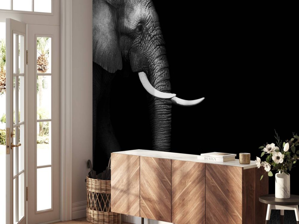 Olifant op gras