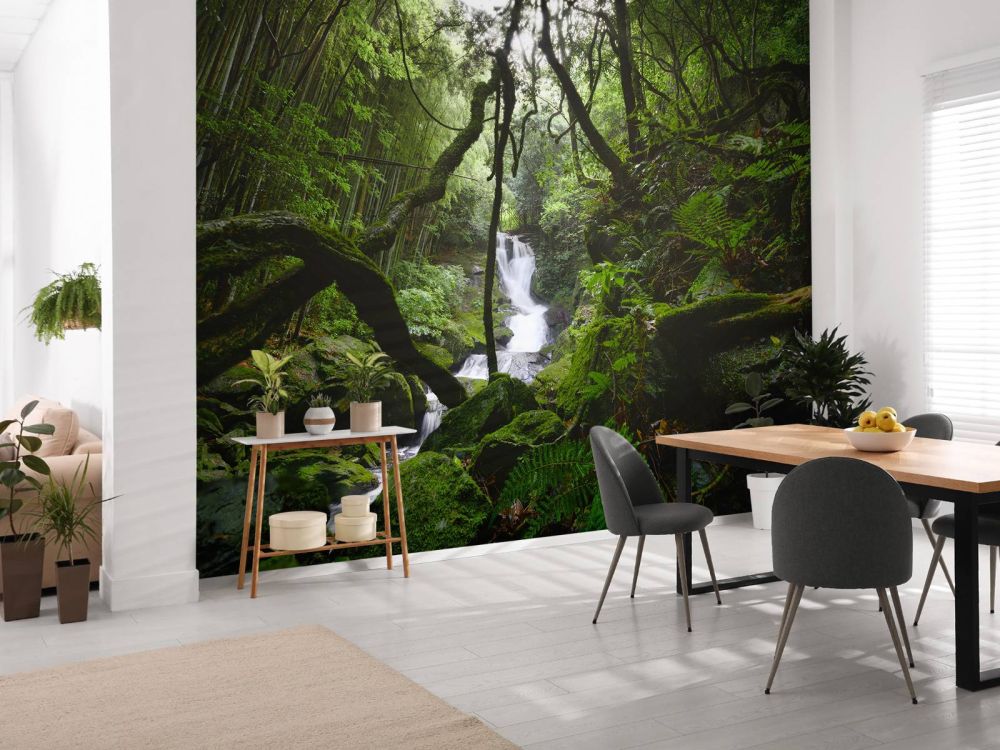 Waterval omgeven door bomen