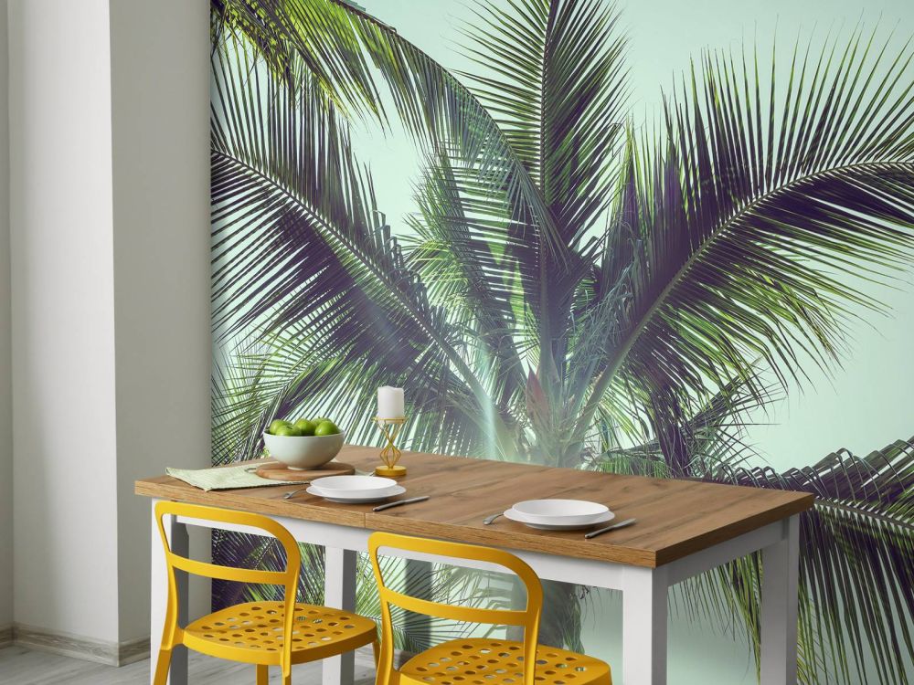 Palmbomen in de zon