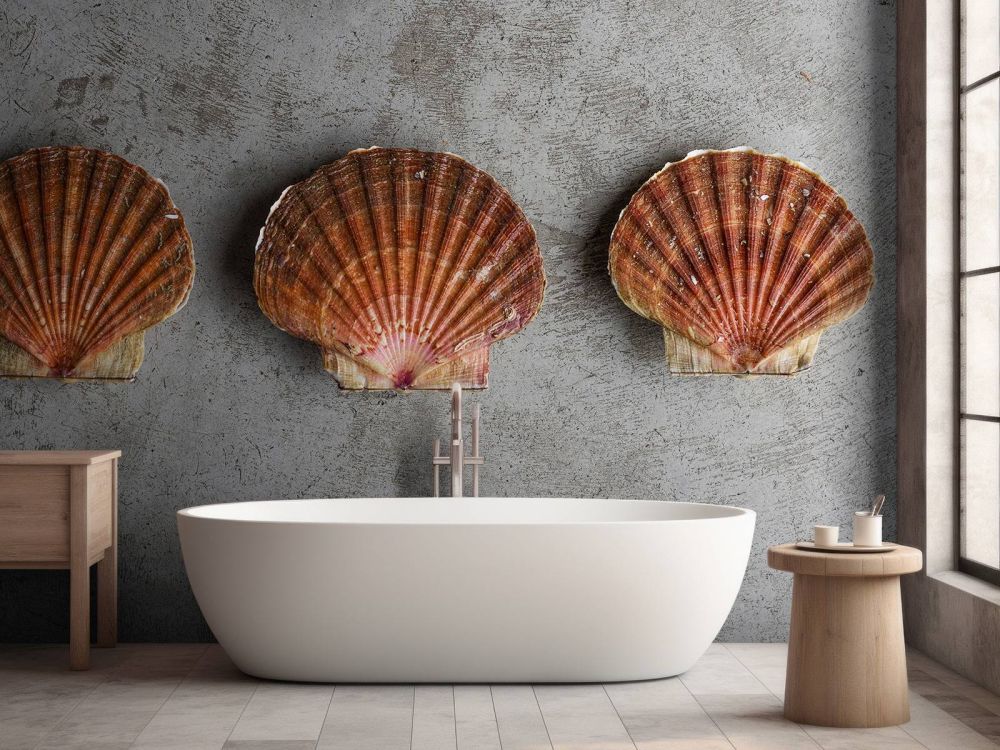 Drie schelpen