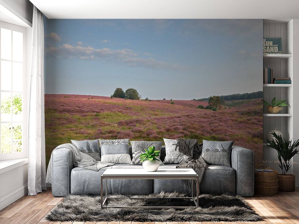 Bloeiende heide