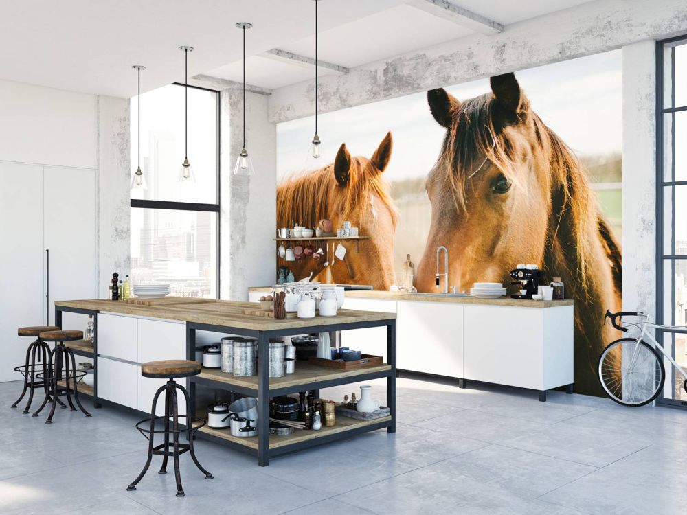 Twee paarden