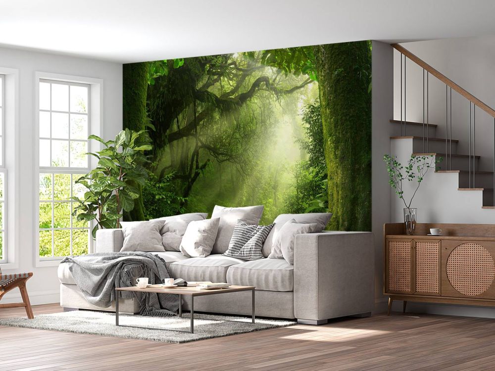 Jungle met zonnestralen