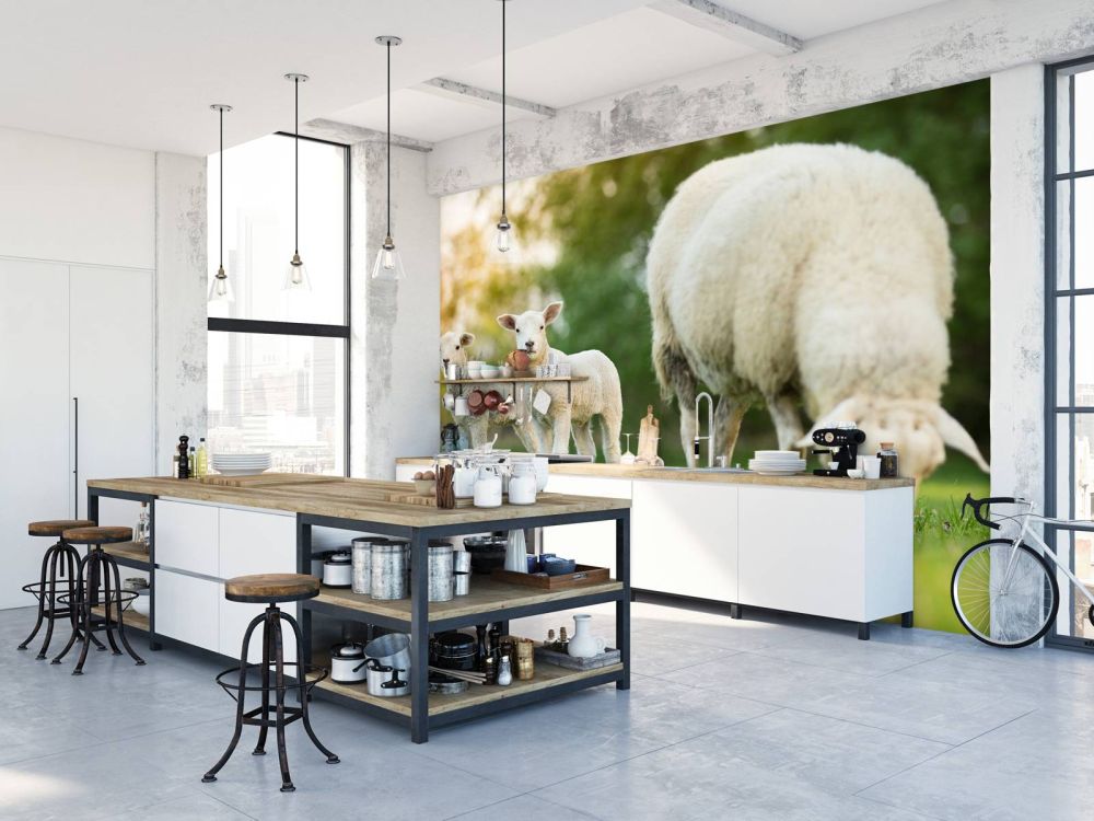 Moeder schaap met lammetjes
