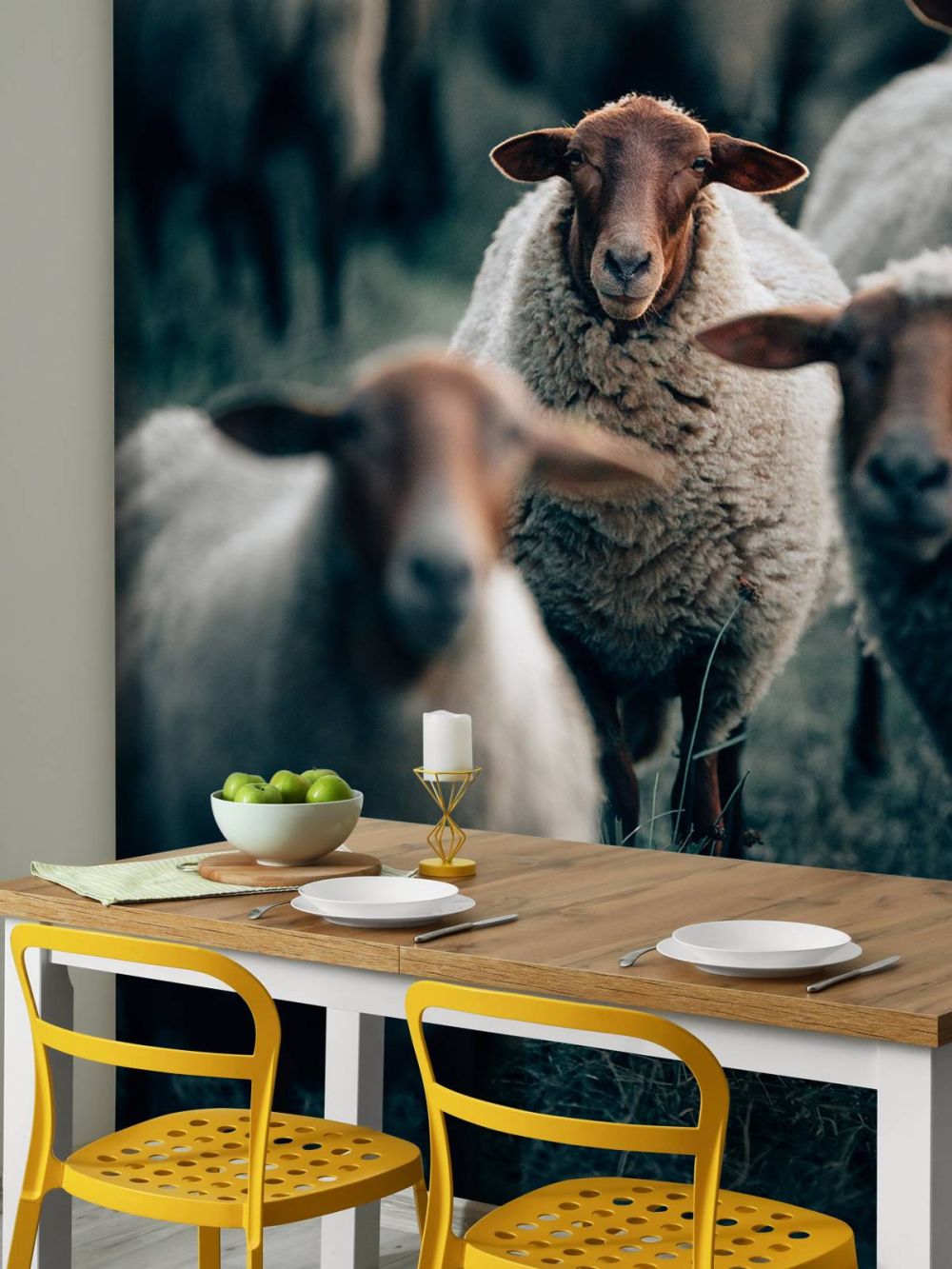 Blije schapen