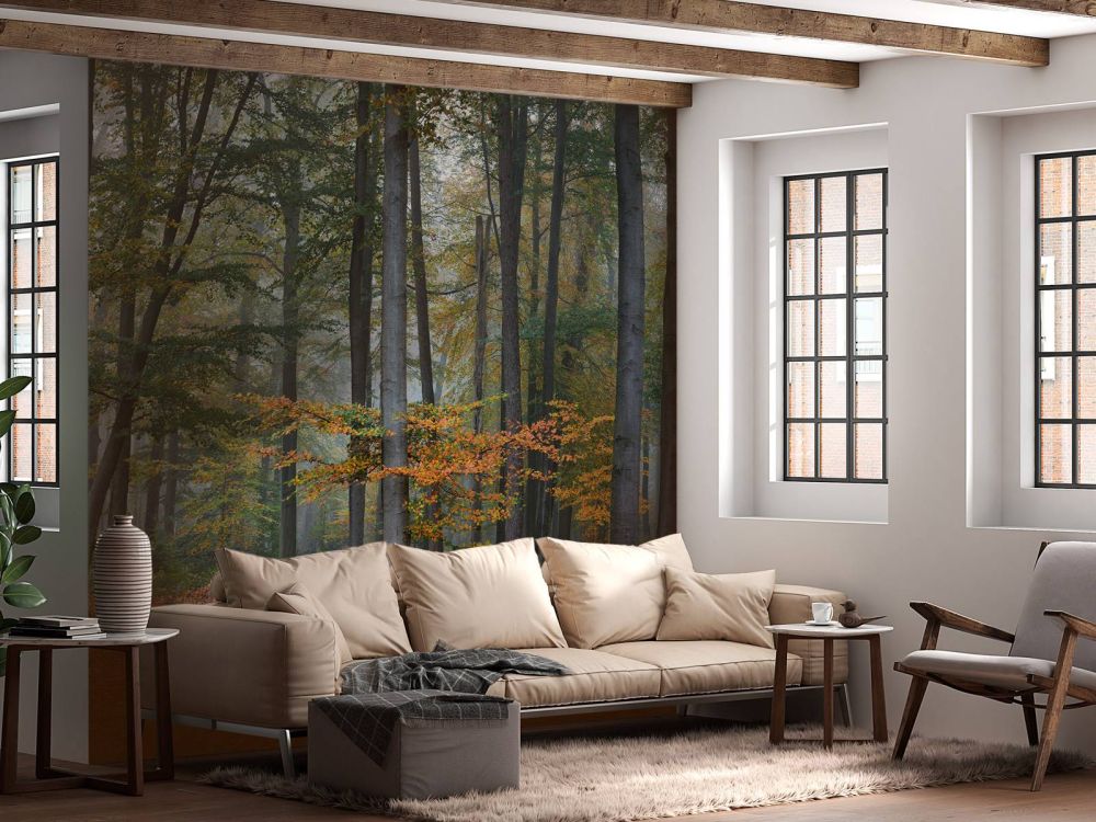 Herfstkleuren in mistig bos