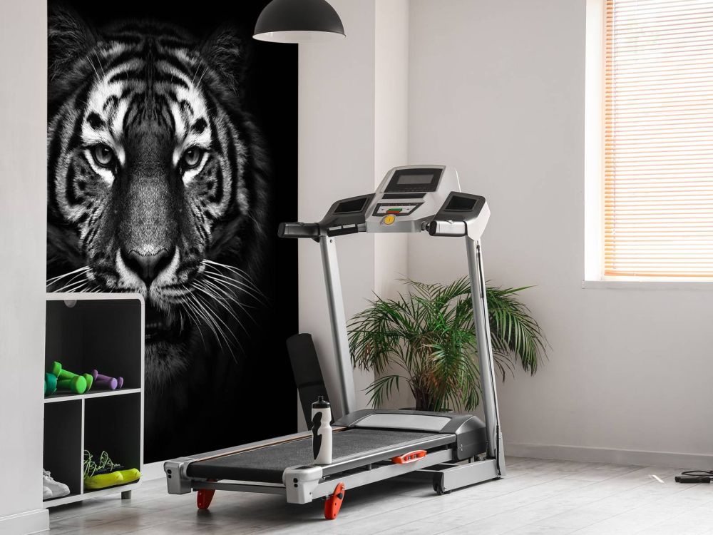 Dark Tiger