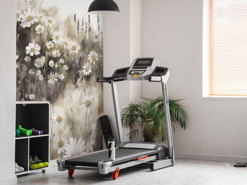 Quiet Daisies Meadow Cream