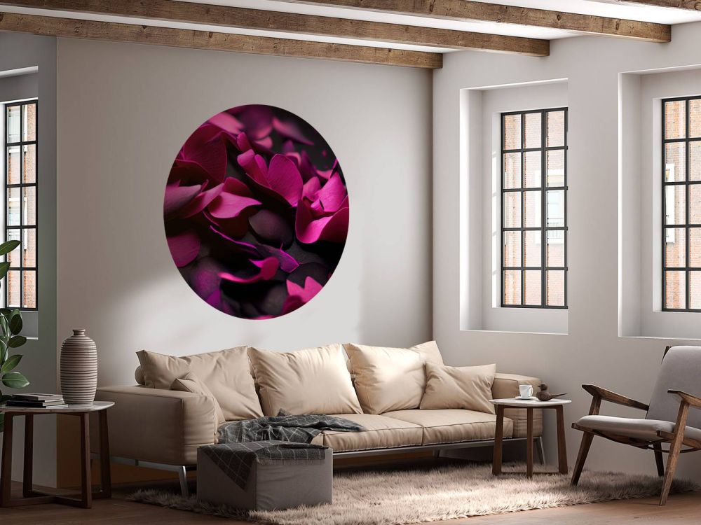 Donker roze hortensia's