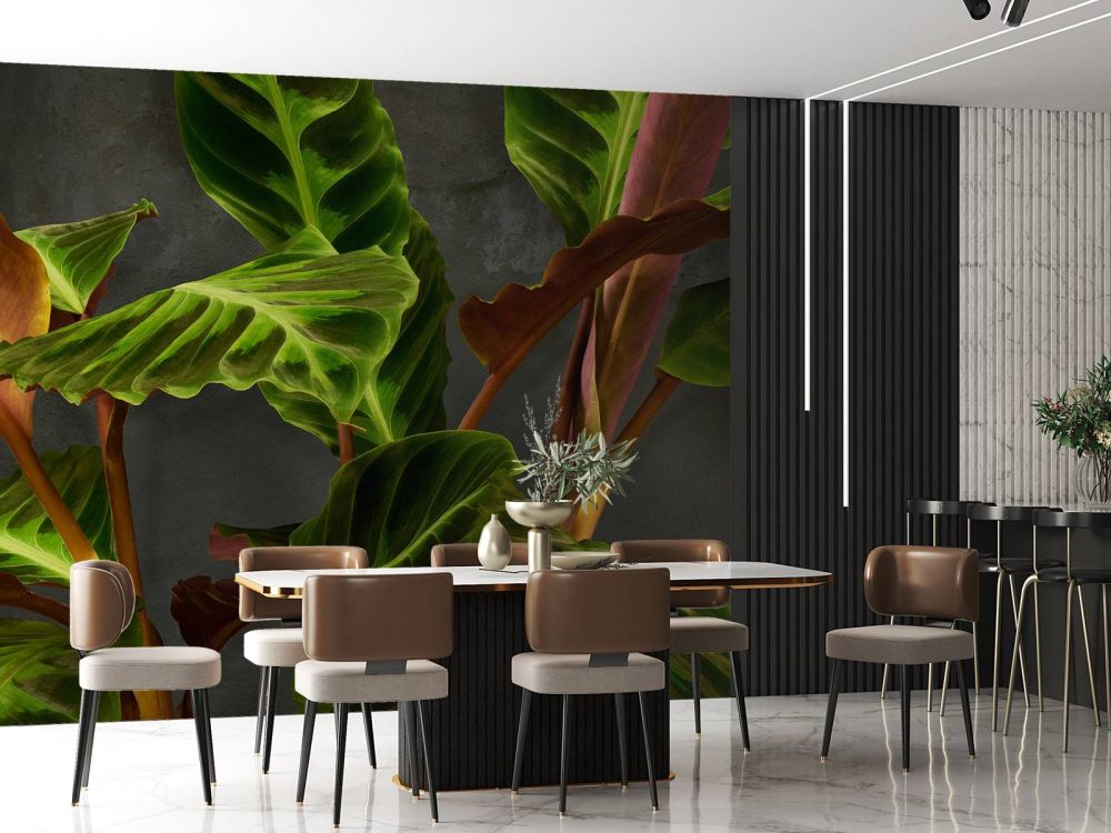 Plant met mooie groene bladeren