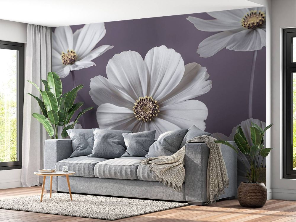 Cosmos bloemen