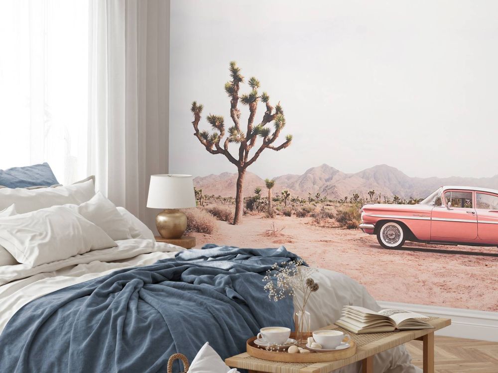 In the desert