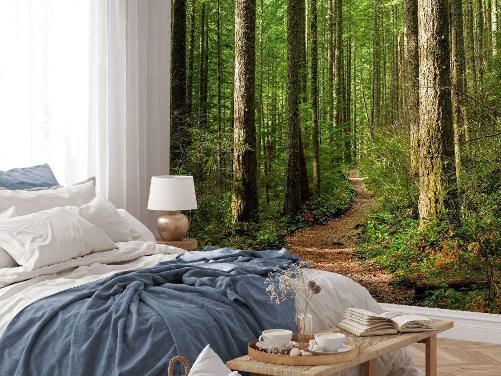 Pad in het bos
