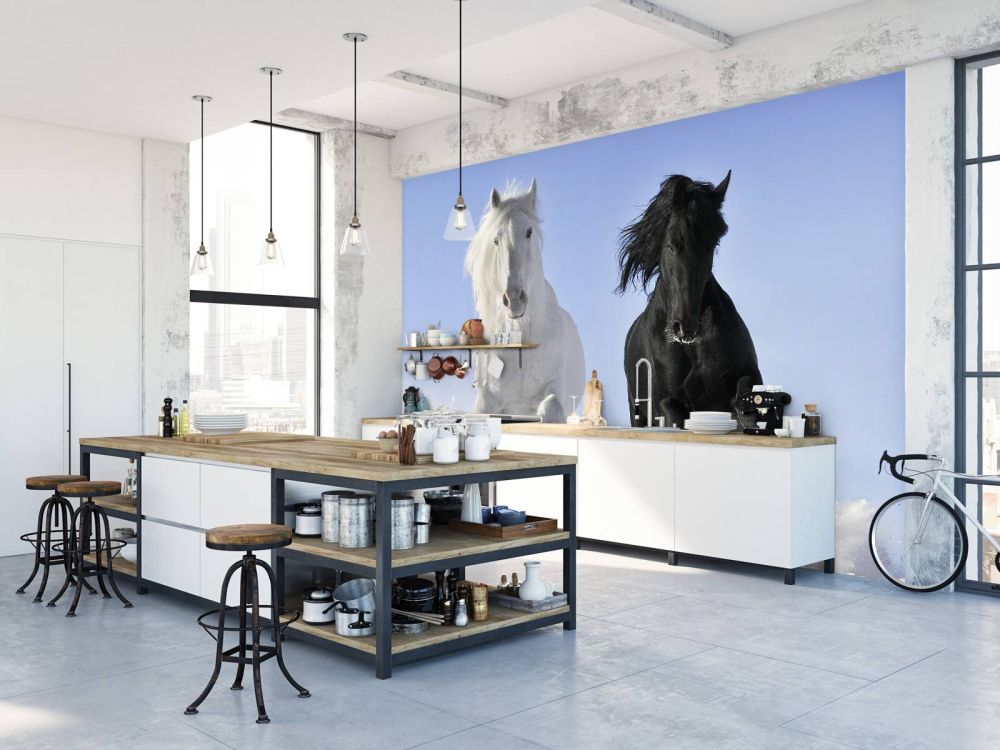 Wit en een zwart paard