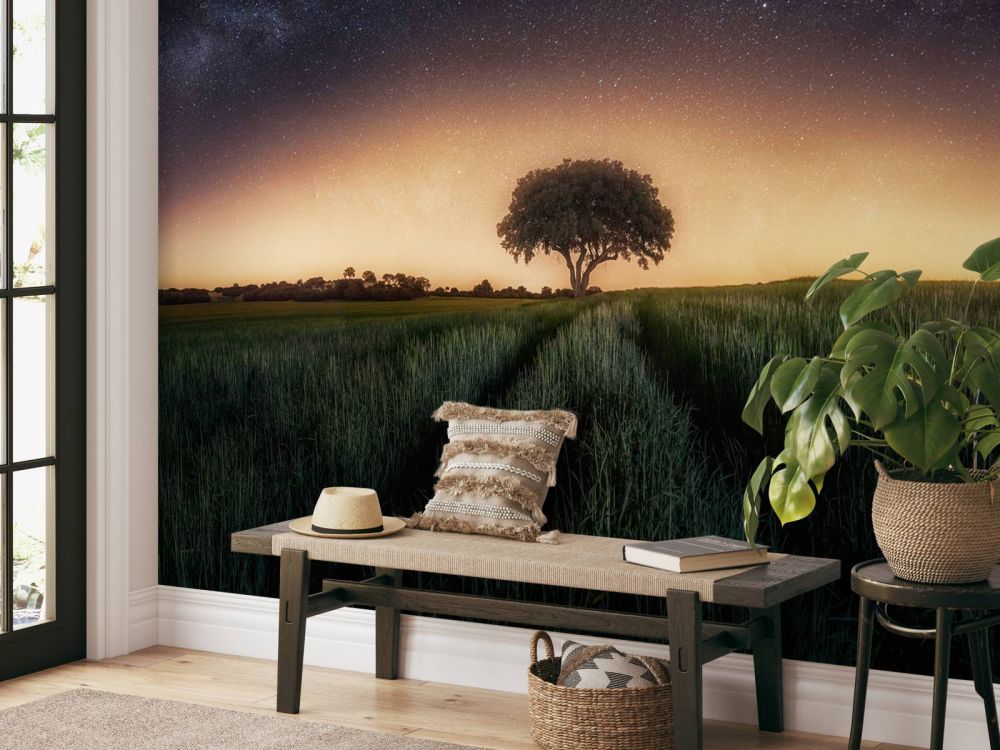 Milky way over lonely tree