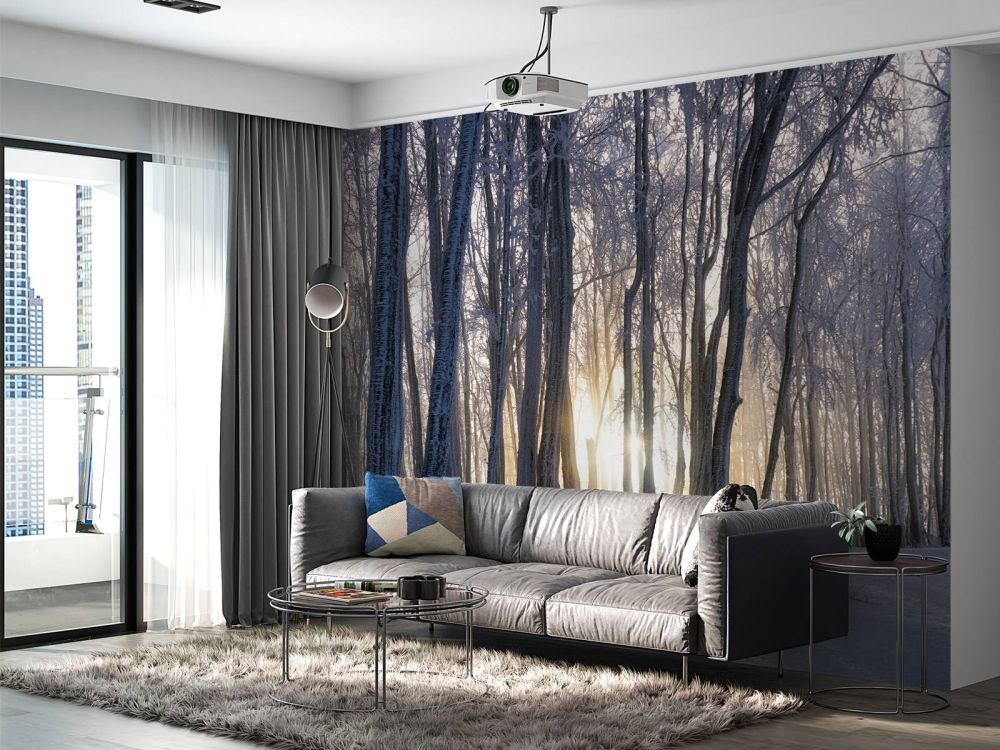 Bevroren bomen