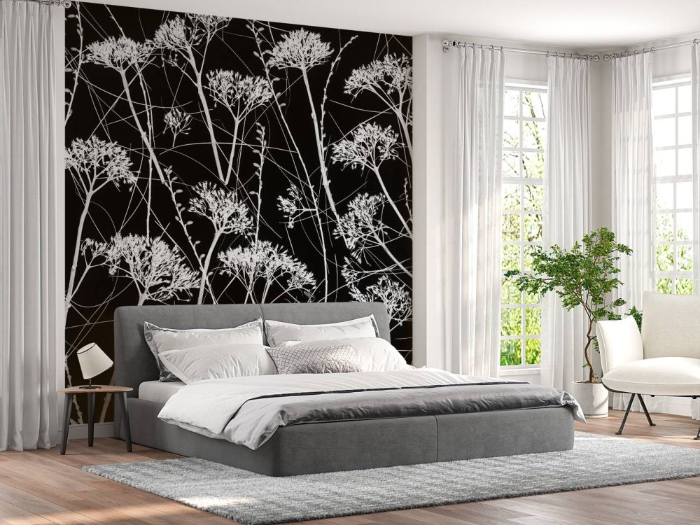 Silhouet van gedroogde planten