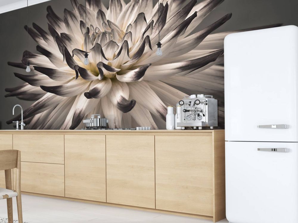 Dahlia bloem zwart wit