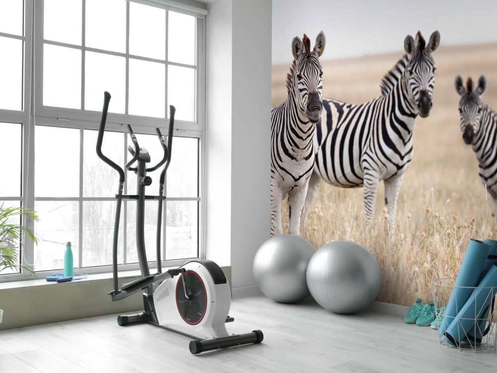 Zebra's in de natuur
