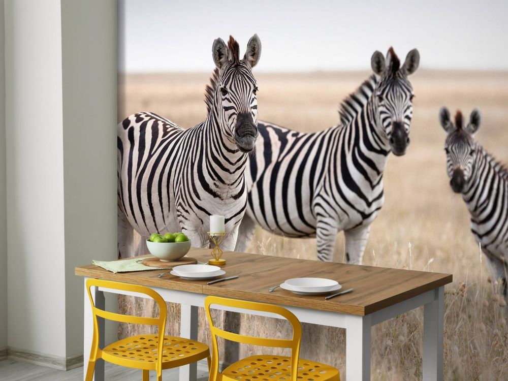 Zebra's in de natuur