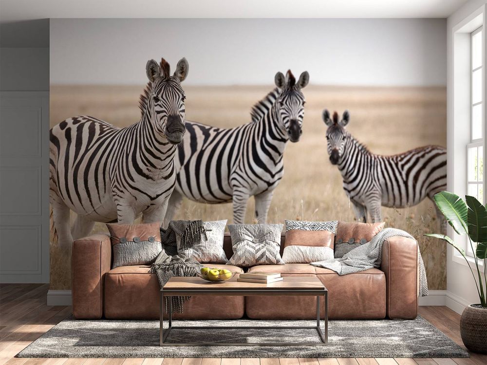 Zebra's in de natuur