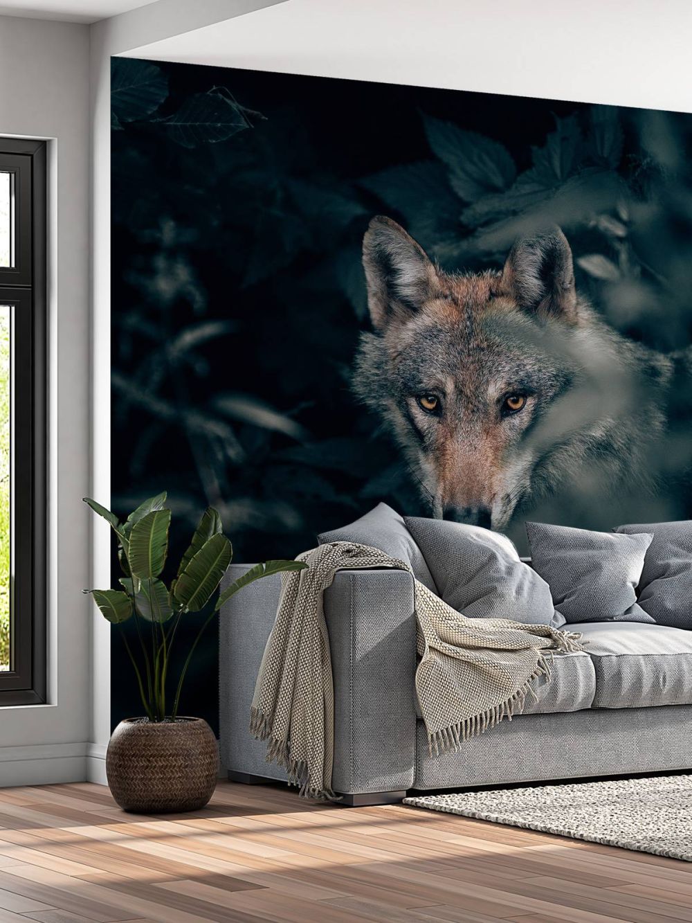 Close-up wolf