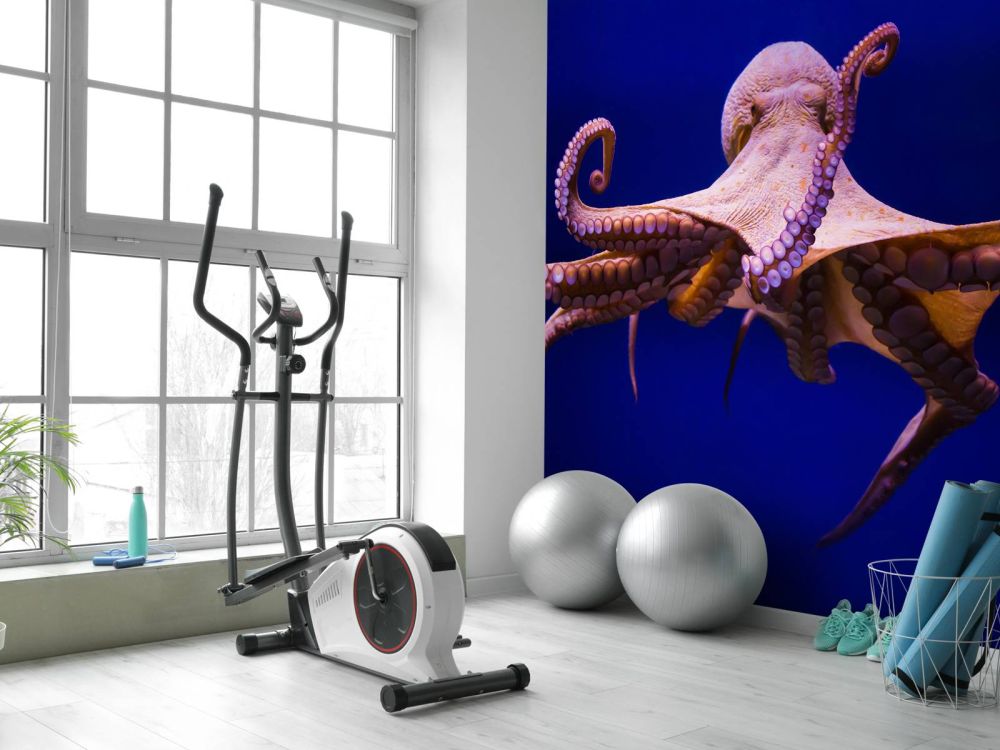 Octopus