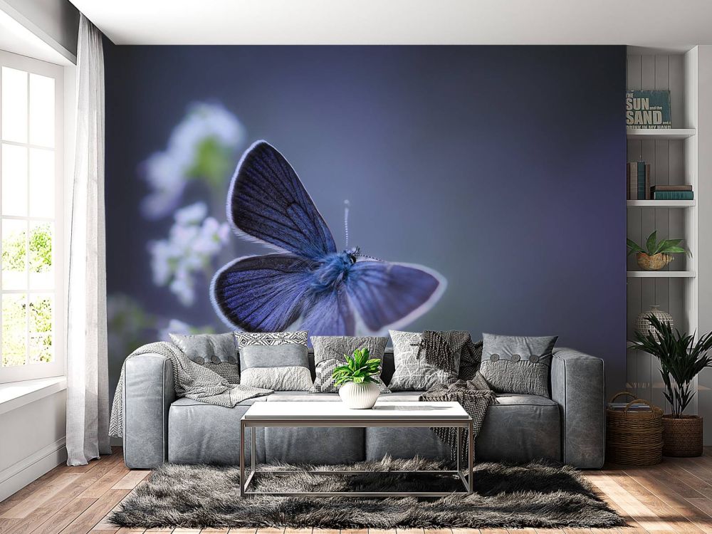 Blauwe vlinder