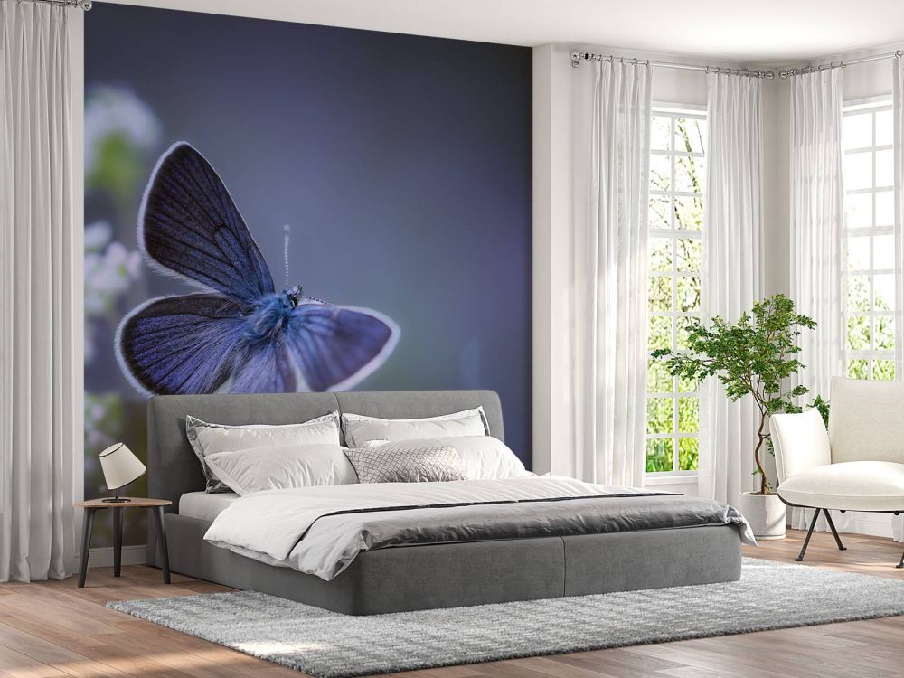 Blauwe vlinder