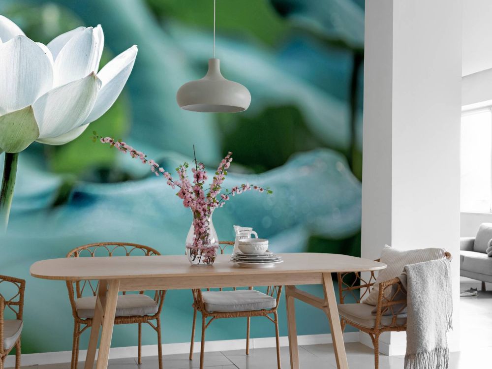 Witte lotusbloem