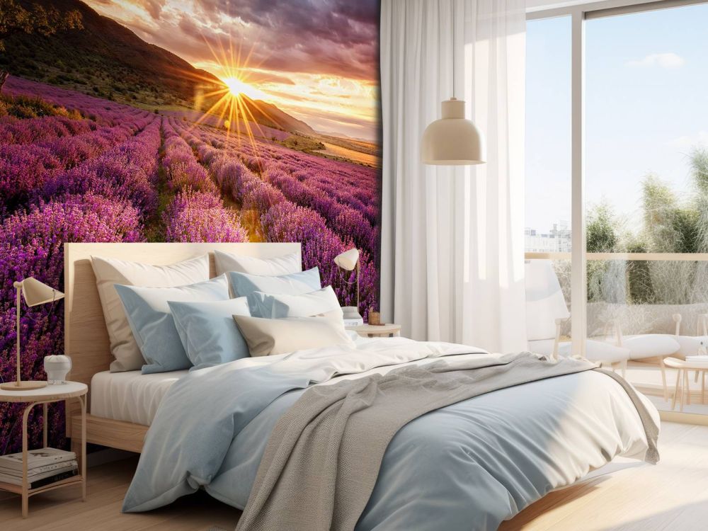 Lavendel onder de zon
