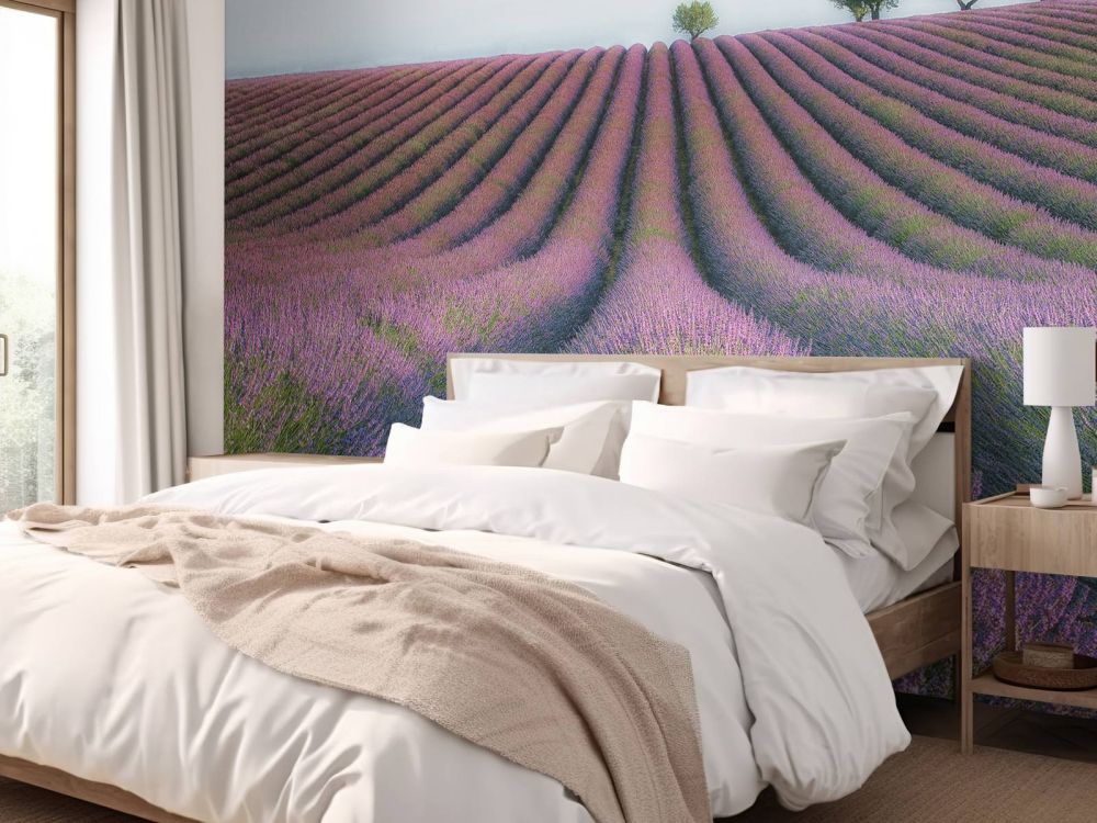 Velours de Lavender