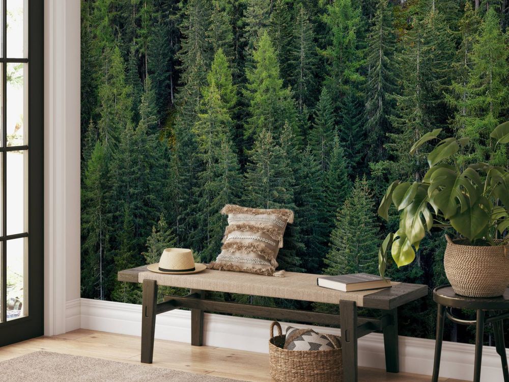 Groen sparrenbos