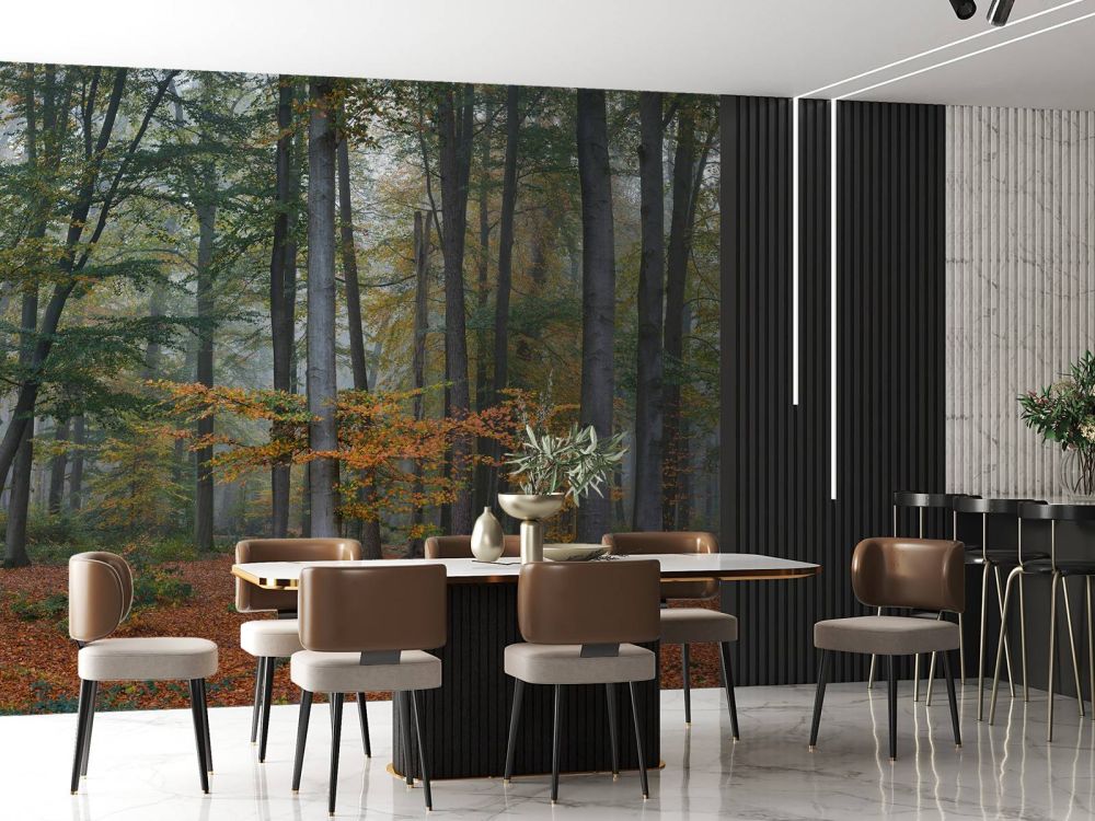 Herfstkleuren in mistig bos