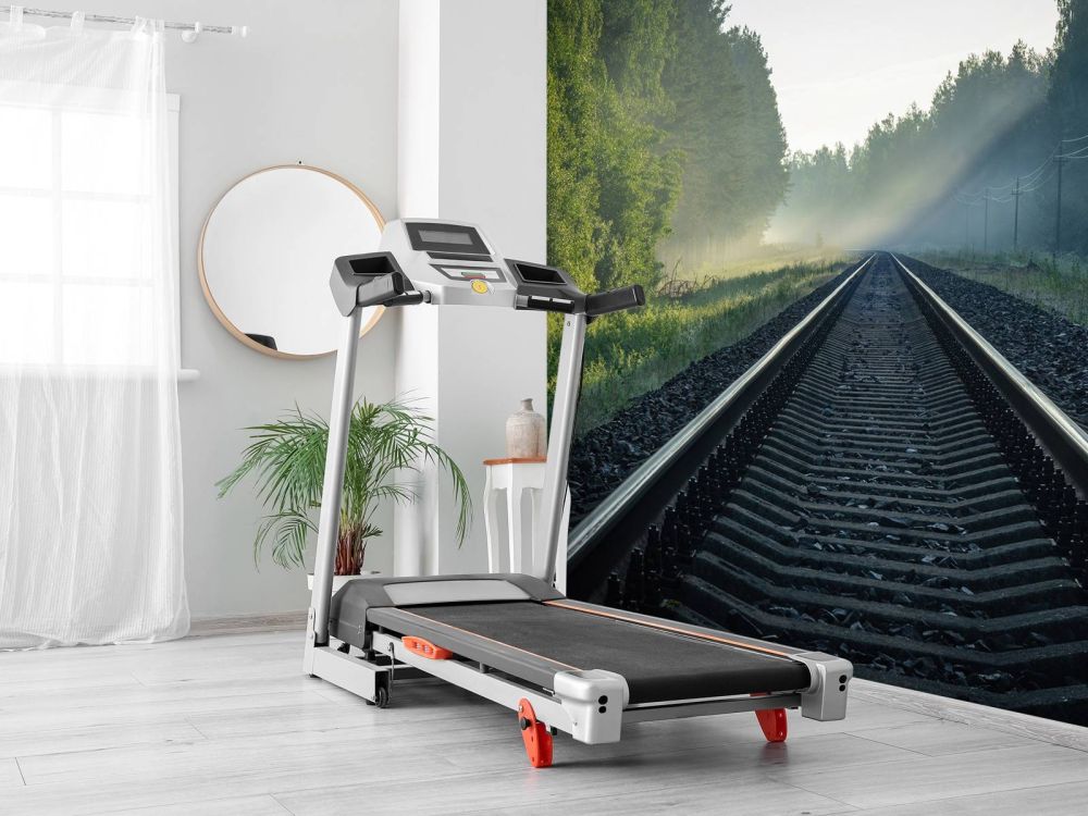 Treinrails door het bos