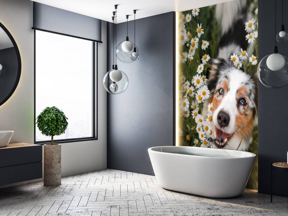 Australische herder tussen de bloemen
