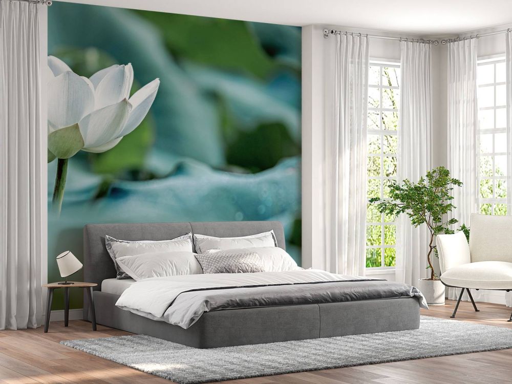 Witte lotusbloem