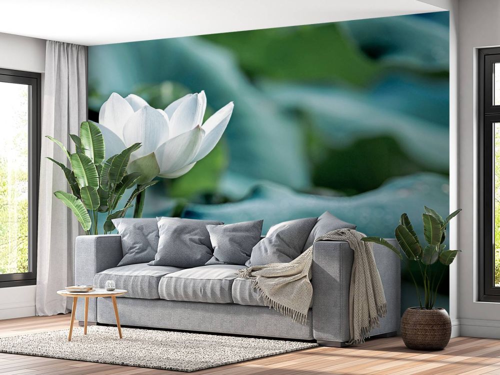 Witte lotusbloem
