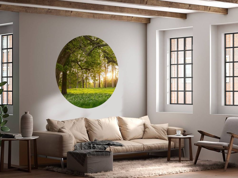 Fotobehang van een open plek in het bos