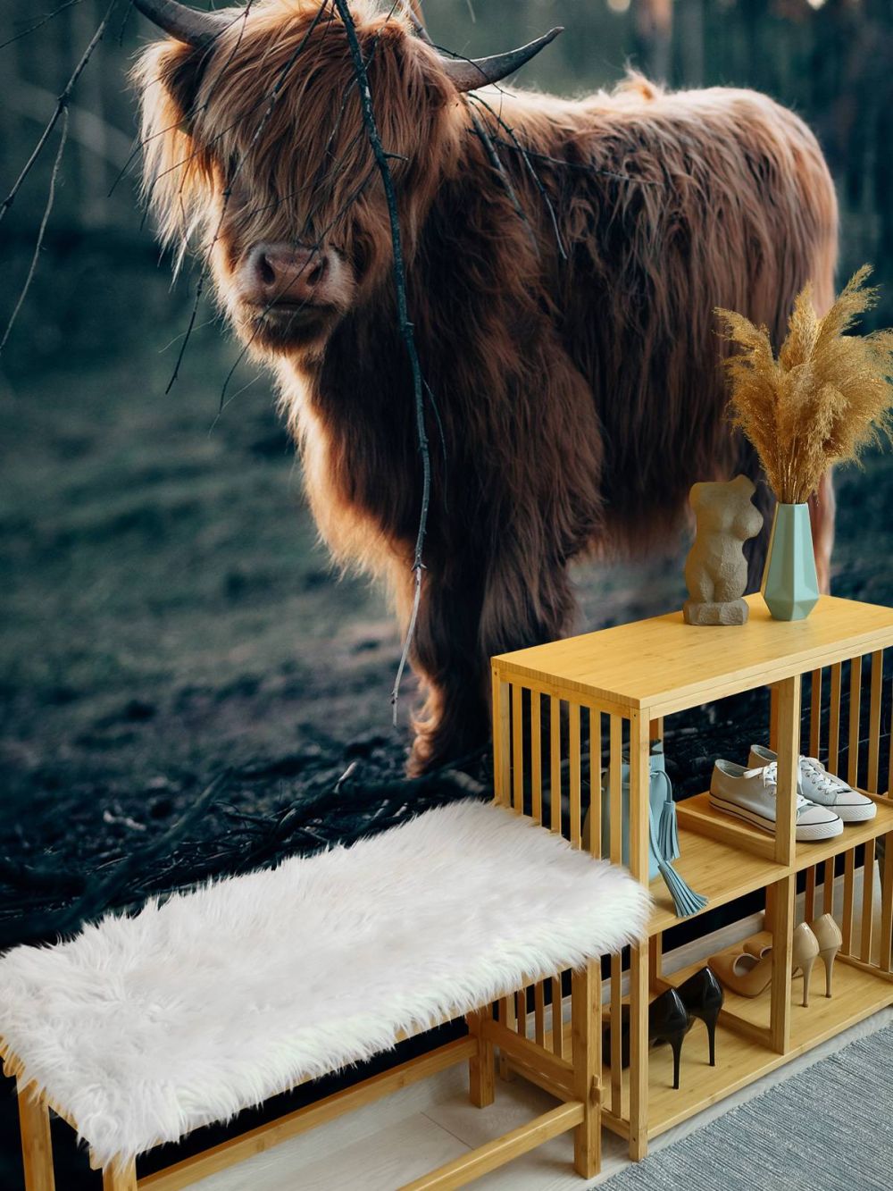 Schotse hooglander aan de bosrand