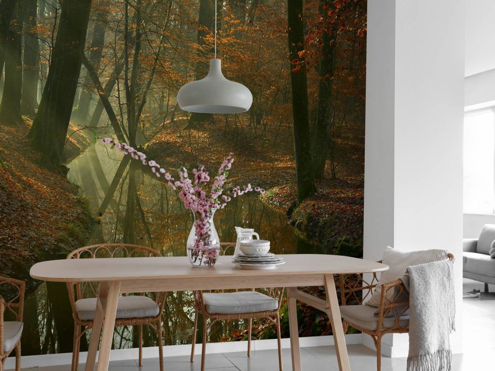 Beek door het bos