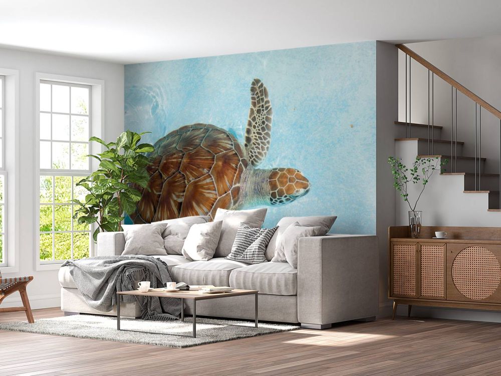 Schildpad in het water