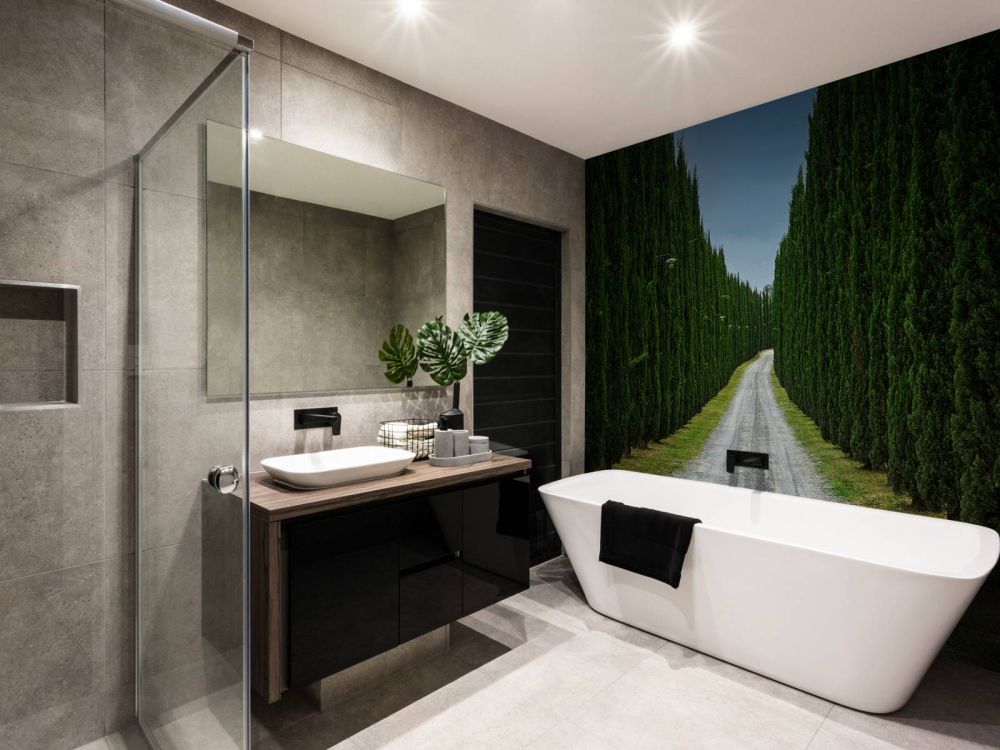 Weg met cypresse