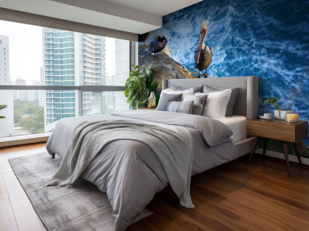 Californische pelikanen