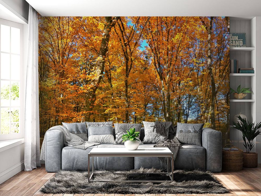 Herfst in het bos
