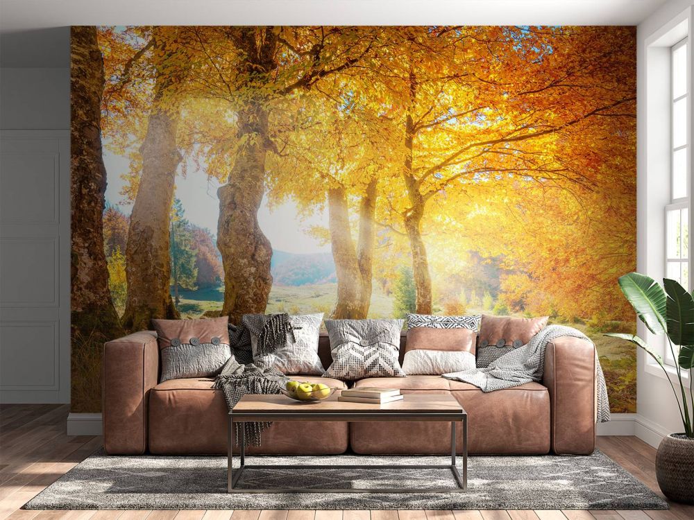 Warm herfstlandschap