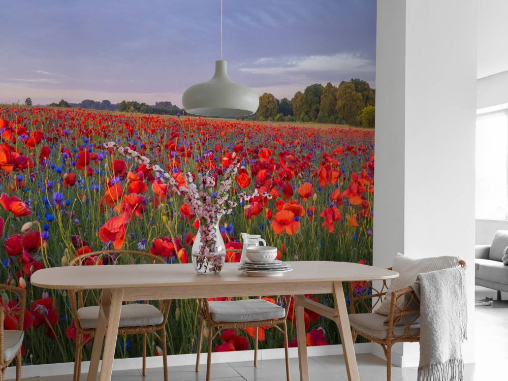 Blauwe bloemen en rode Klaprozen