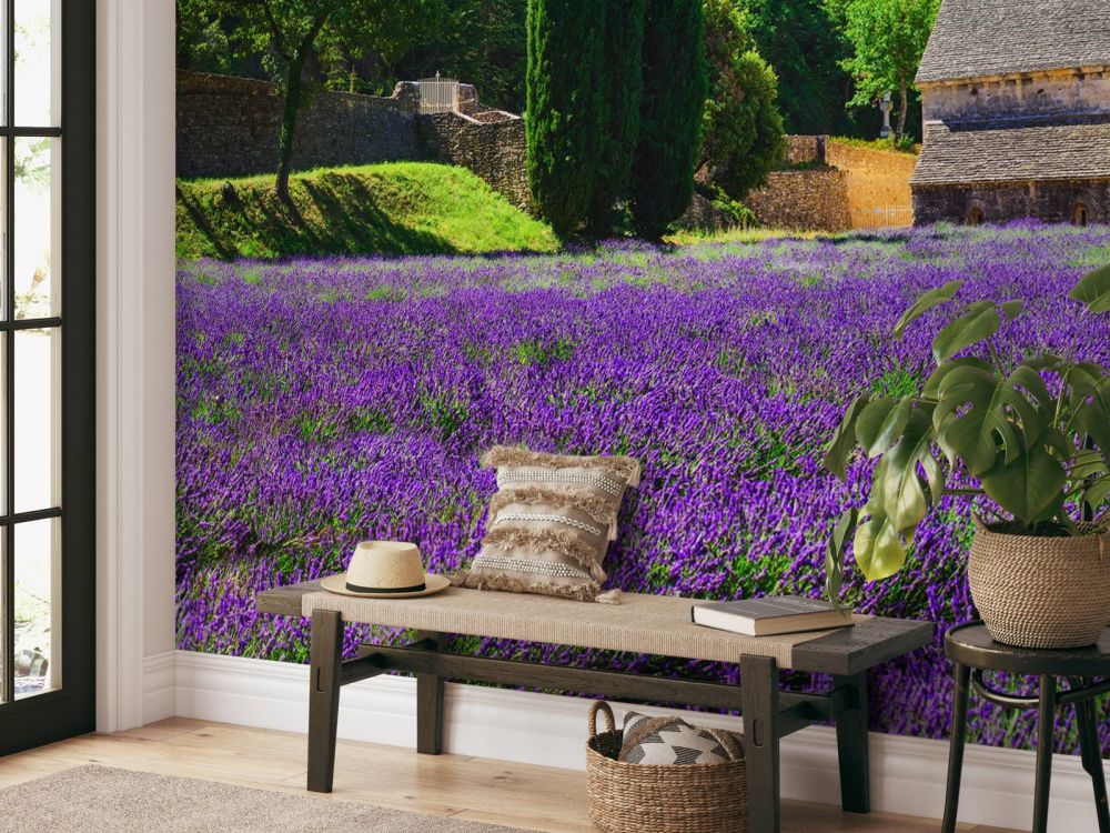 Sprookjes lavendelveld