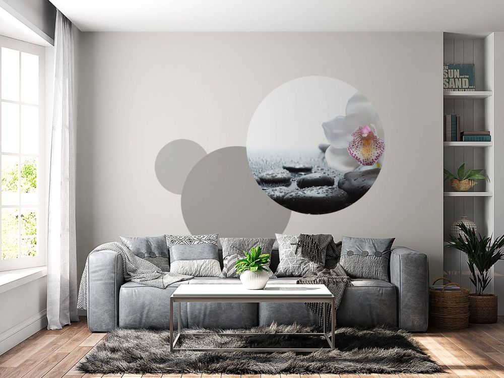 Witte orchidee